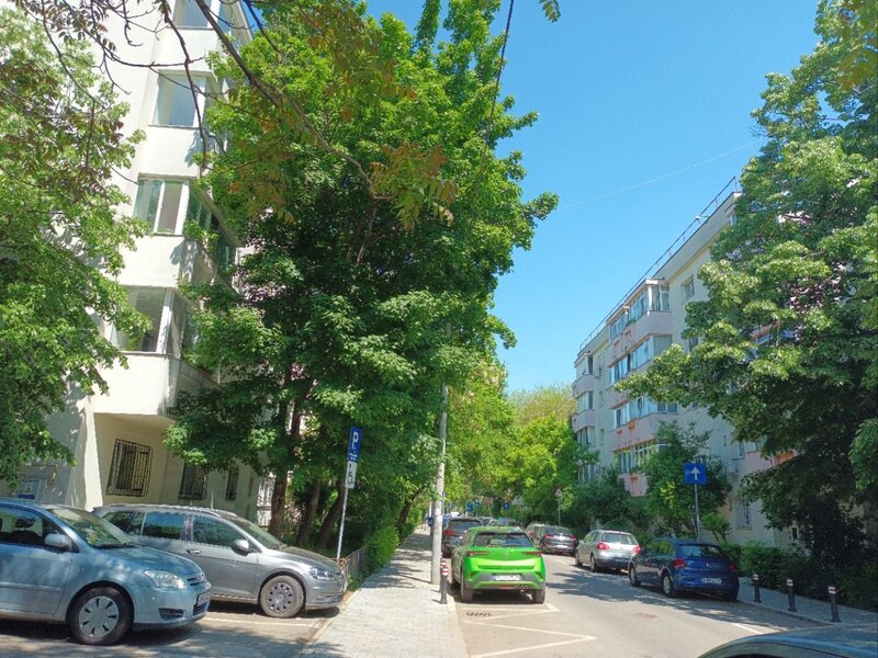 Floreasca, Vidin, Kaufland Barbu Vacarescu