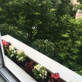 Floreasca, Vidin, Kaufland Barbu Vacarescu
