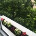 Floreasca, Vidin, Kaufland Barbu Vacarescu